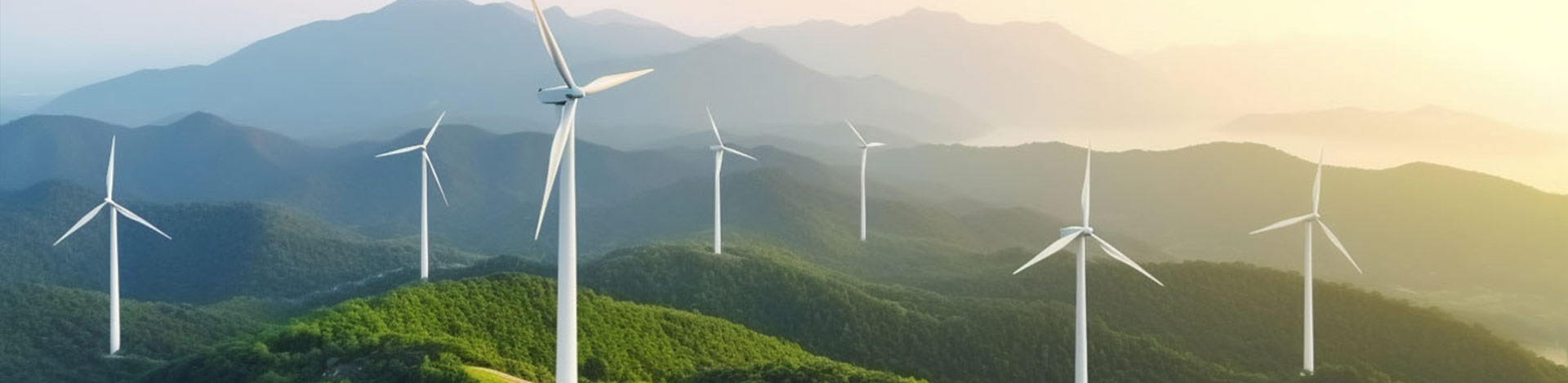 引领风光循环产业新篇章，共筑可持续发展的梦想